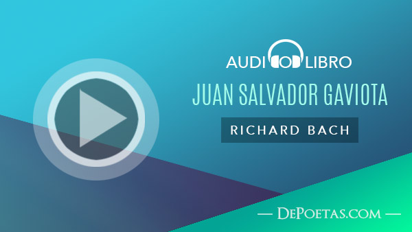 Audio libro de Juan Salvador Gaviota